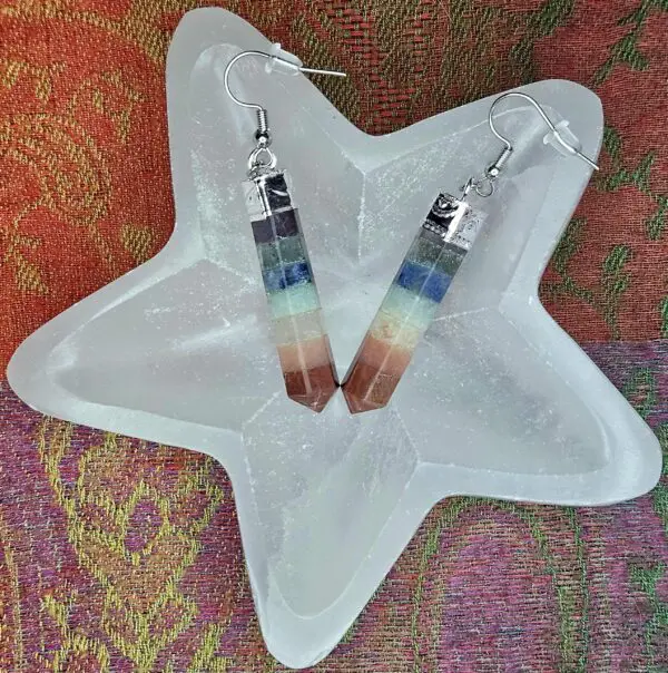 Chakra Point Earrings
